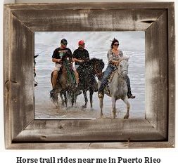 horse trail rides near me Puerto Rico